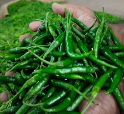 Green Chilli